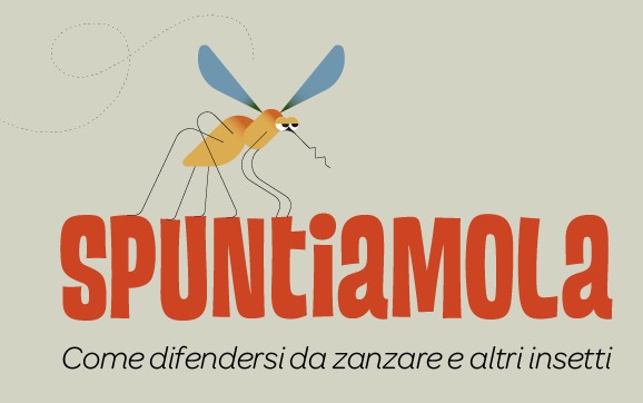 Immagine relativa a: