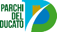 Immagine relativa all'articolo